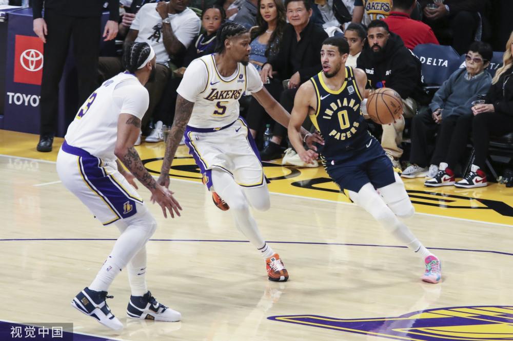 的适应能力 的适应能力