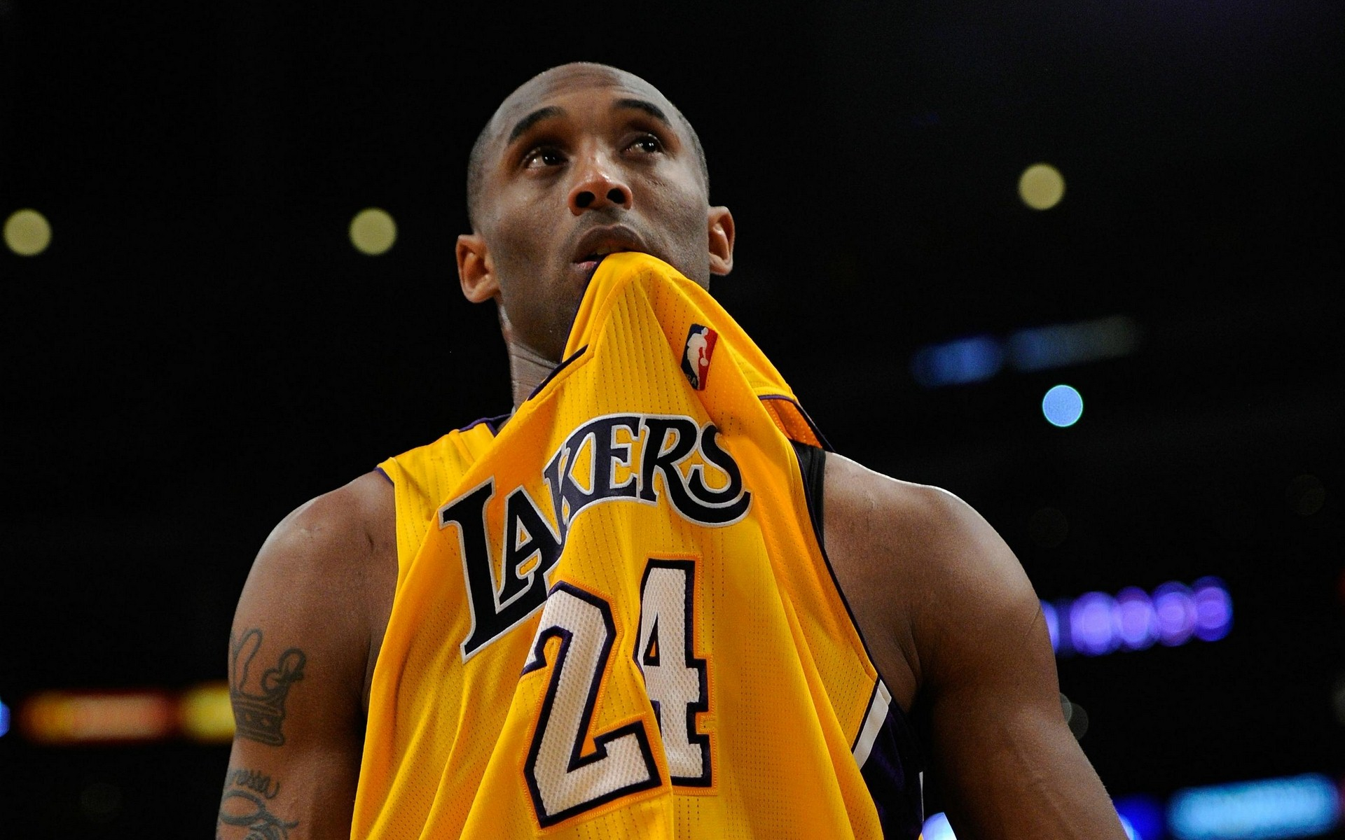 与球队成长 与球队成长